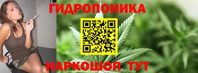 МДПВ Краснознаменск