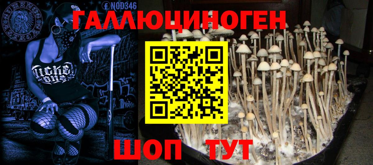 Ярославль  Псилоцибиновые грибы MAGIC MUSHROOMS  Вход с VPN  Галлюциногенные грибы Cubensis 