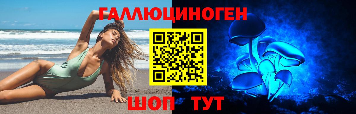 Псилоцибиновые грибы прущие грибы Ярославль